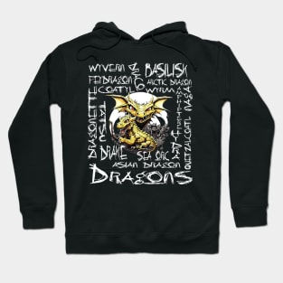Different Types of Dragons For All Dragon Lovers Mythical Role Playing Hoodie